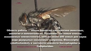 Юрий Григорьевич Вервес
