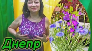 ❤️ДНЕПР ‼️ВЫБИРАЮ НАРЯД В РЕСТОРАН💃26.05.2025