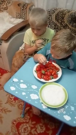 1000207432.mp4