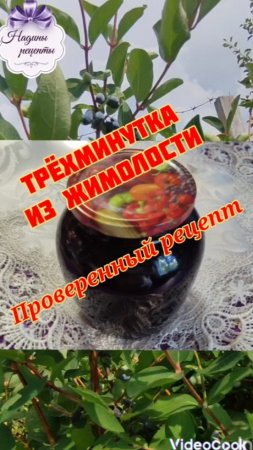 Как вкусно приготовить варенье из жимолости