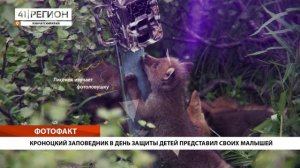 ФОТО ФАКТ: КРОНОЦКИЙ ЗАПОВЕДНИК В ДЕНЬ ЗАЩИТЫ ДЕТЕЙ ПРЕДСТАВИЛ СВОИХ МАЛЫШЕЙ