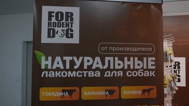 🇮🇹 А ЧТО ПО ЕВРОПЕ? СТАРТ ZOOMARK 2025 смотреть онлайн