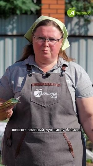 Что посадить в июне?!