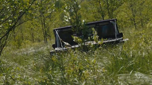 Умеют ли машины плавать? | Трофи-Рейд Дрыгва 2024 смотреть онлайн