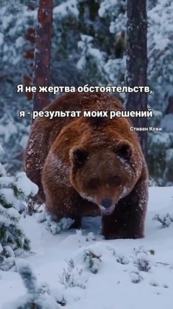 Как откликается у вас эта цитата?