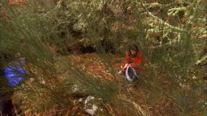 Tracking Wildcats | Nat Geo Wild