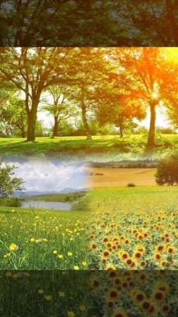 Здравствуй,солнечное лето.🌻☀️💛

#Лето #Июнь #Вторник