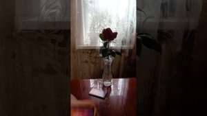 Таро.Состояние вашей души.