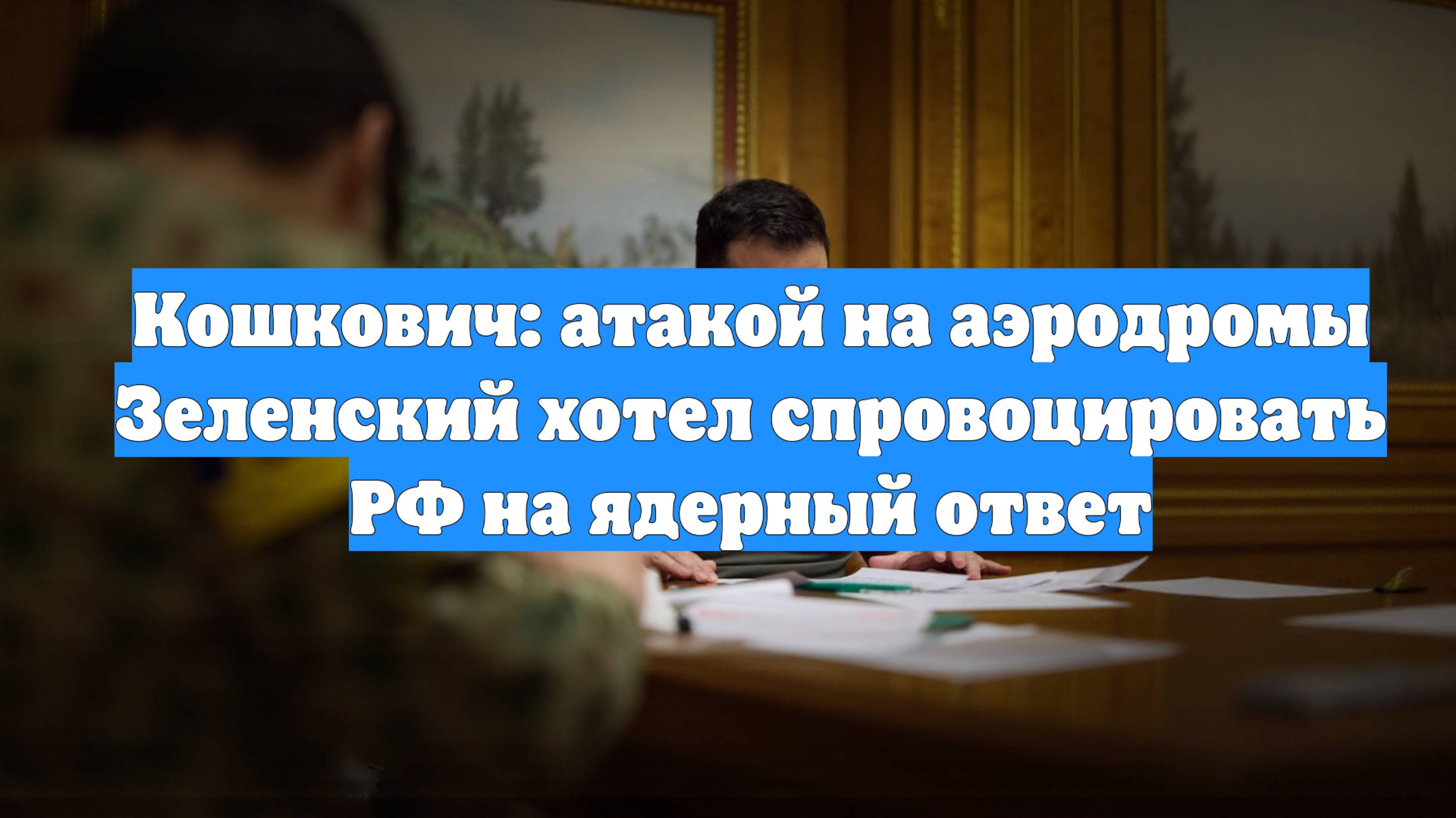 Кошкович: атакой на аэродромы Зеленский хотел спровоцировать РФ на ядерный ответ