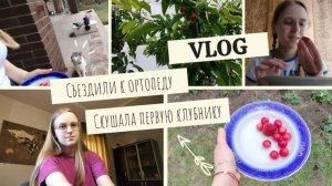 VLOG Съездили к ортопеду👨⚕️ Скушала первую клубнику🍓
