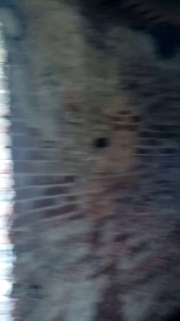 Верхний этаж старинной мельницы. Zeddam. 1441 год. смотреть онлайн