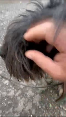 1000076846.mp4