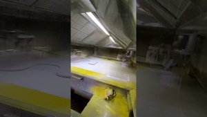 Автоматическая покрасочная линия для покраски фанеры