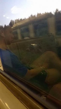 Общественный транспорт как способ познакомиться с городом: культурный гид Автогений