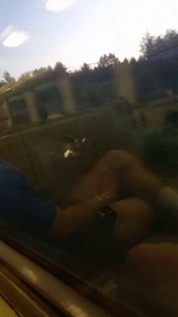 Поезда, трамваи, троллейбусы: Увлекательное путешествие по городским джунглям" - Автогений