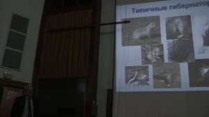 Механизмы адаптации животных к экстремальным температурам. Часть 2. Рубцов А.М. 11.04.2015 edit