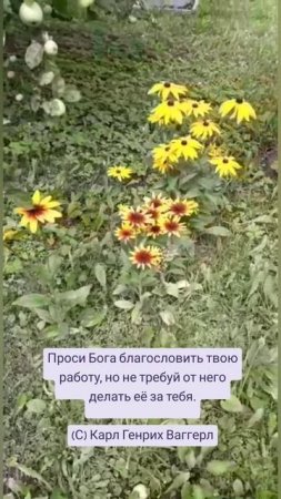 Проси Бога благословить... 🤗🍯🐝