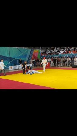 Лучшие нокауты Подпишись и ставь лайк #ufc #mma #youtube #sports #tiktok #shortsvideo #russia #box