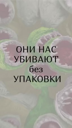 А вы знаете, что заказываете микроорганизмы с доставкой еды?