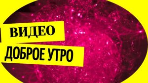 Доброе утро - видео для ватсапа