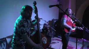 ALLIGATORS - Little Riot