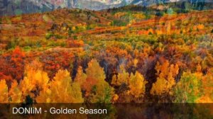 DONIiM - Golden Season