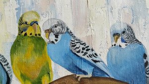 Картина маслом. Попугаи. Николаева
