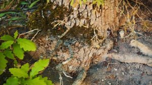 Маленький рай на Кубанской земле — Сукко 🌿 | Ультра Всё Включено отель**** — МоРеми🐬