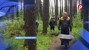 Субботник в Моркинском бору