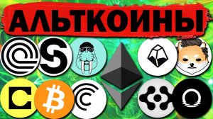 Альткоины которые дадут иксы! Обзор проектов: ROOT ONDO FET GLMR CFG ELON CELO GUN WAL IP STO
