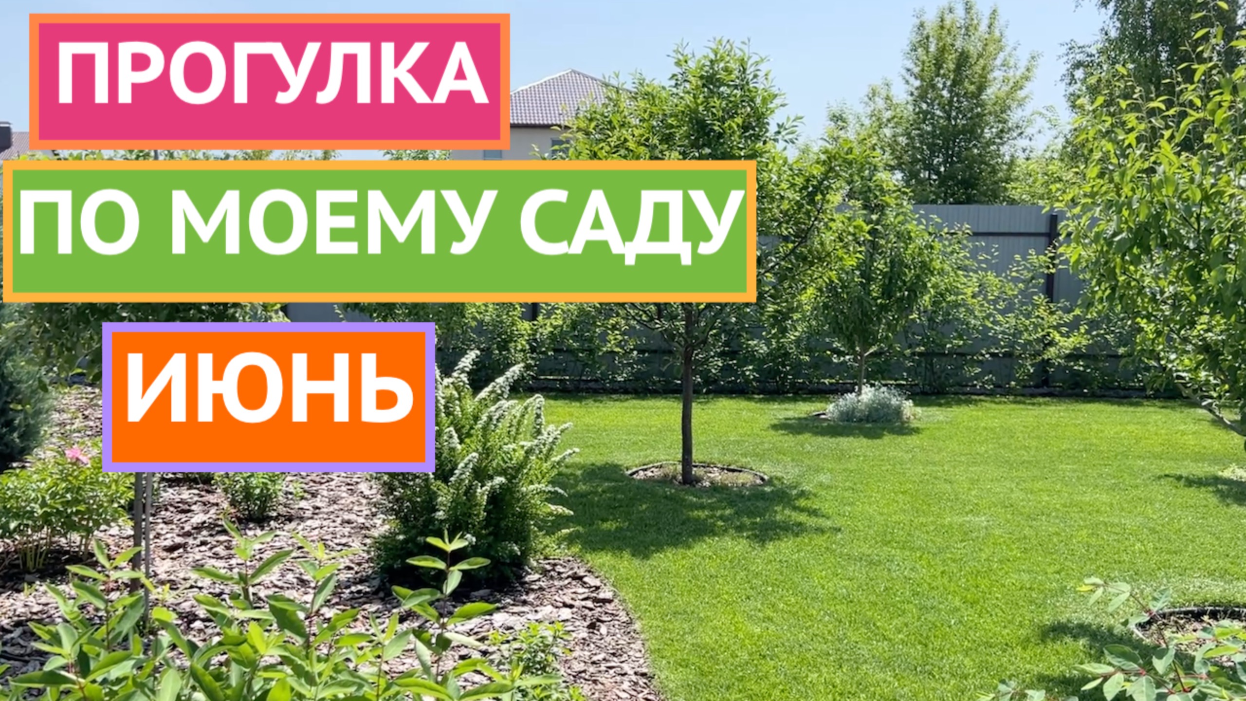 ВОТ ЭТО ЦВЕТЕНИЕ! ПОКАЗЫВАЮ СВОИ РАСТЕНИЯ ВО ВСЕЙ КРАСЕ!