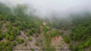 Скорость, адреналин и звуки, от которых сжимаются кулаки! - Driving in the rain -- Timecrawler 82 --