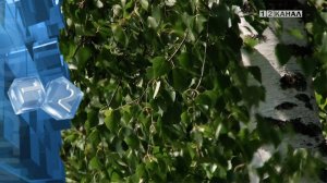 О погоде на предстоящую неделю рассказали синоптики кемеровского гидрометцентра