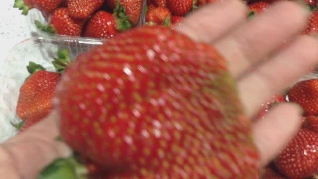 КЛУБНИКА ПЕРВОГО УРОЖАЯ.ЗАГЛЯДЕНЬЕ!