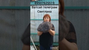 Пуховые платки,косынки,палантины,шапки,снуд,кофта.