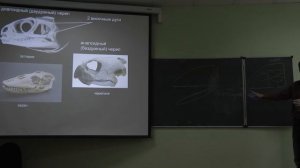 2014.11.06 - Зоология позвоночных - Огурцов С.В. Часть 2