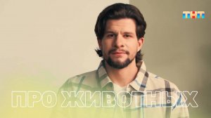 Как избавить собаку от паразитов