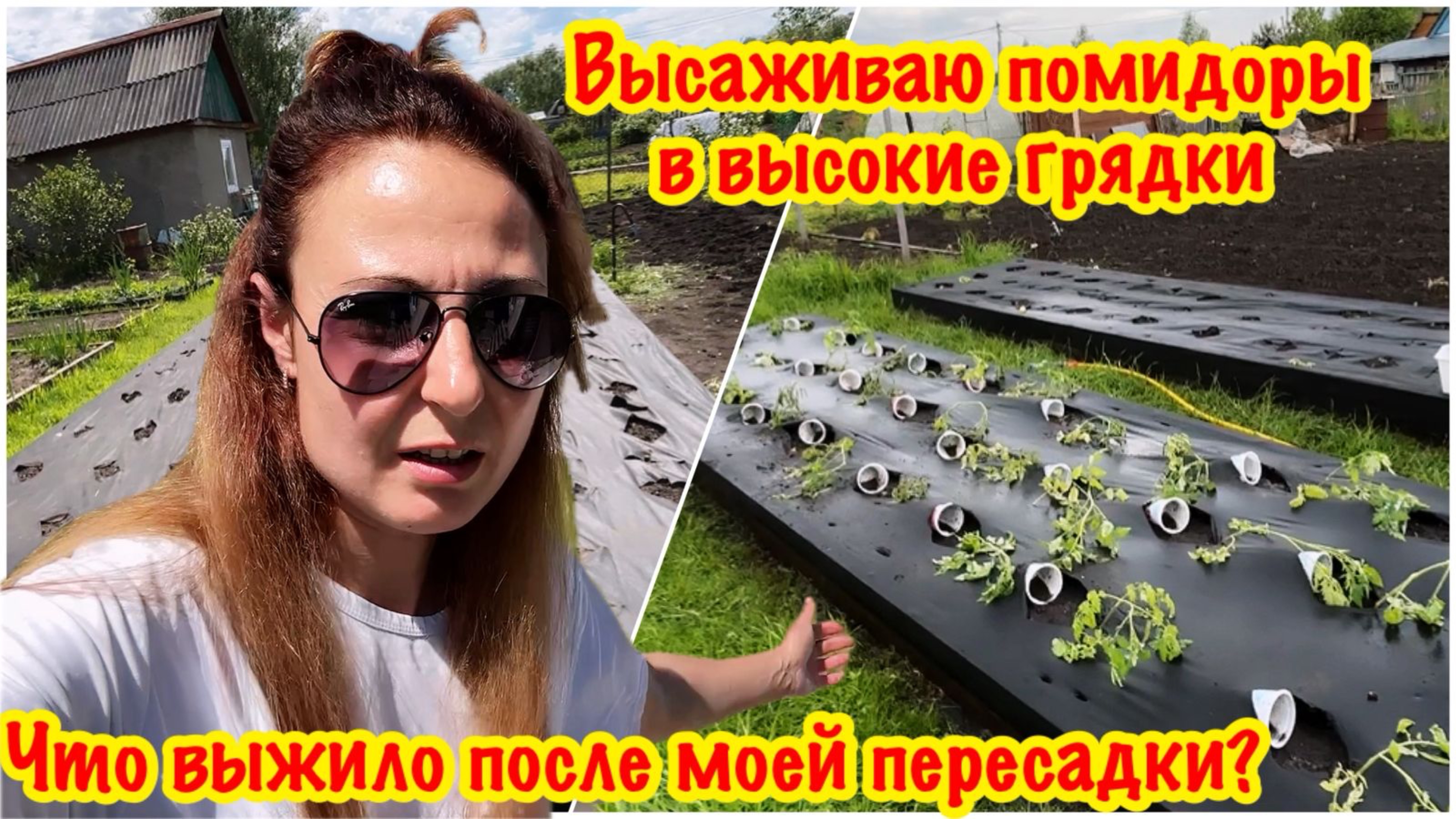 ВЫСАЖИВАЮ РАССАДУ В ВЫСОКИЕ ГРЯДКИ/РАБОТА В ОГОРОДЕ/ВСЕ ДЛЯ КРАСОТЫ И УЮТА/НЕПРОСТАЯ ЖИЗНЬ ДАЧНИКА