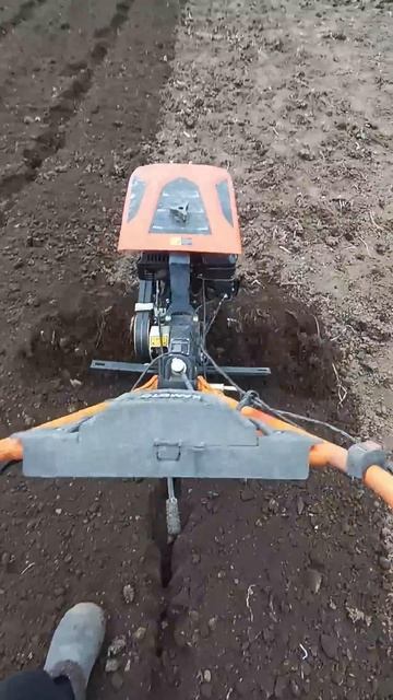 Наводим красоту #automobile #тракторспб #мтз80 #farming #агротех? смотреть онлайн