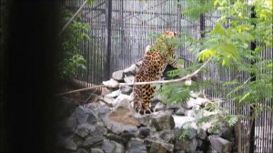 Рада наблюдает за Хилари 29.05.2025