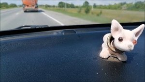 Зачем туровской "тете Моте" еще один ребенок?