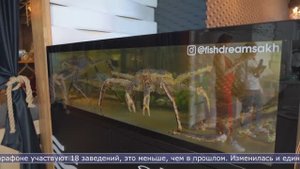 03.06.2025 Гастрономический марафон «Дикоросия» стартовал в Южно-Сахалинске