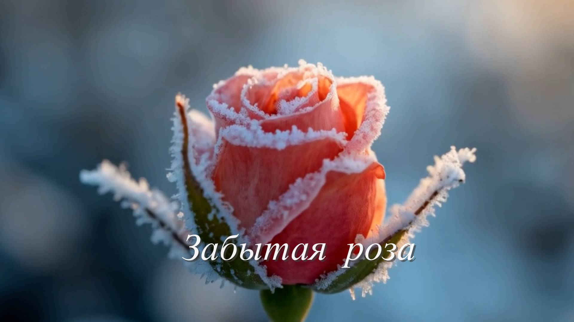 Стихи