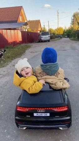 Павлов Family (1242)