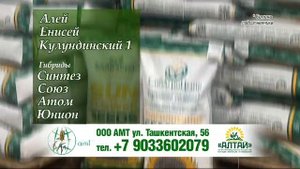 АМТ семена
