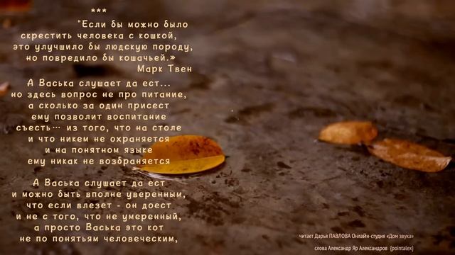 А Васька слушает да ест 230912 Дарья ПАВЛОВА Онлайн-студия «Дом звука»