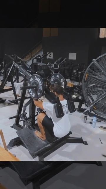Тренажер для приседаний Gymmaster SSB-08