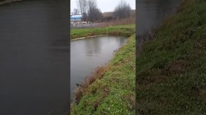 VID_20241026_112748.mp4