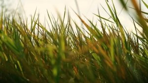 Красота ветра 9