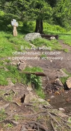 Алтай туристический. Телецкое озеро. Село Артыбаш. Иогач. ❤Живем на Алтае и путешествуем. #алтай